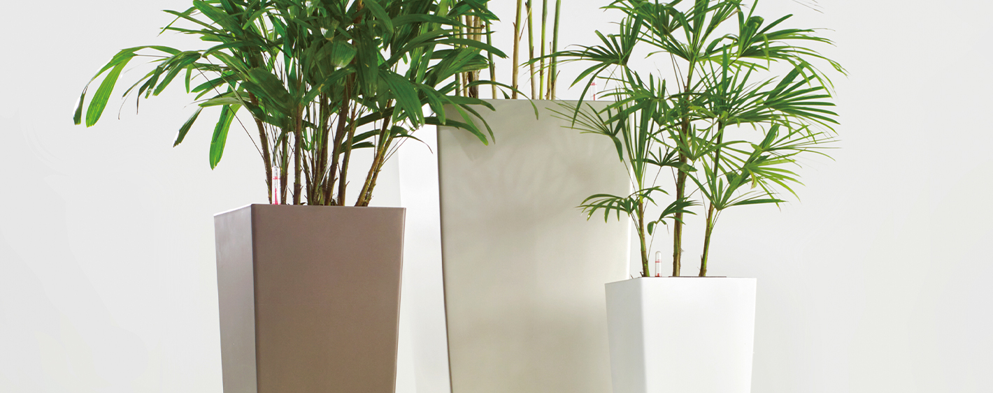 塗装された植木鉢