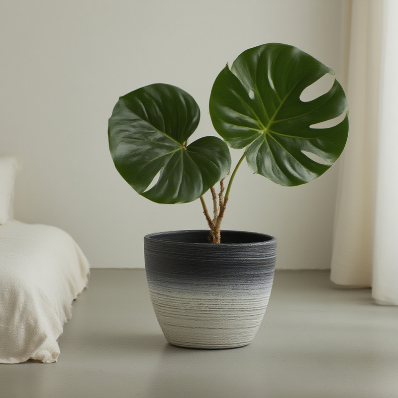 丸型サンドブラスト加工 植木鉢 2色線画デザイン