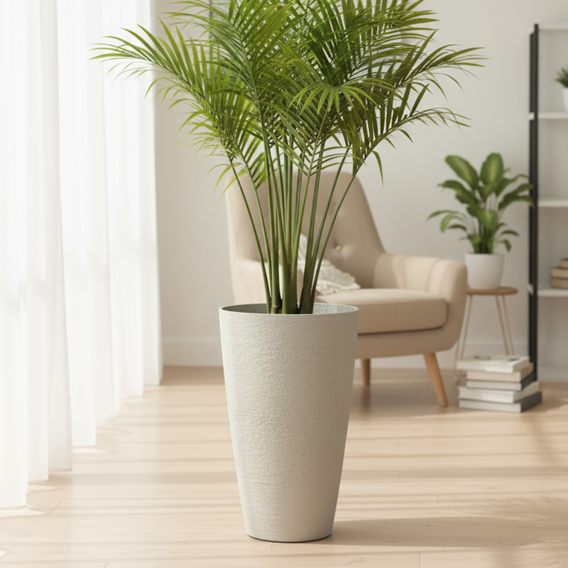 石膏のような質感の丸い植木鉢