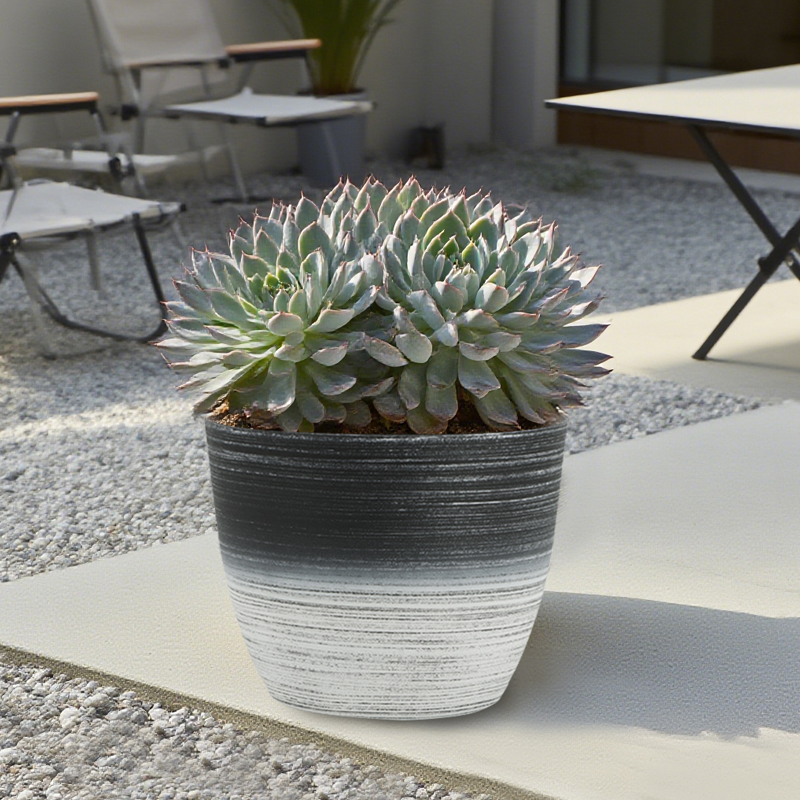 丸型サンドブラスト加工 植木鉢 2色線画デザイン