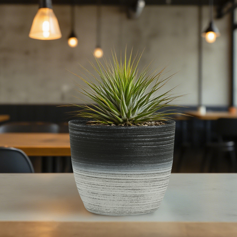 丸型サンドブラスト加工 植木鉢 2色線画デザイン