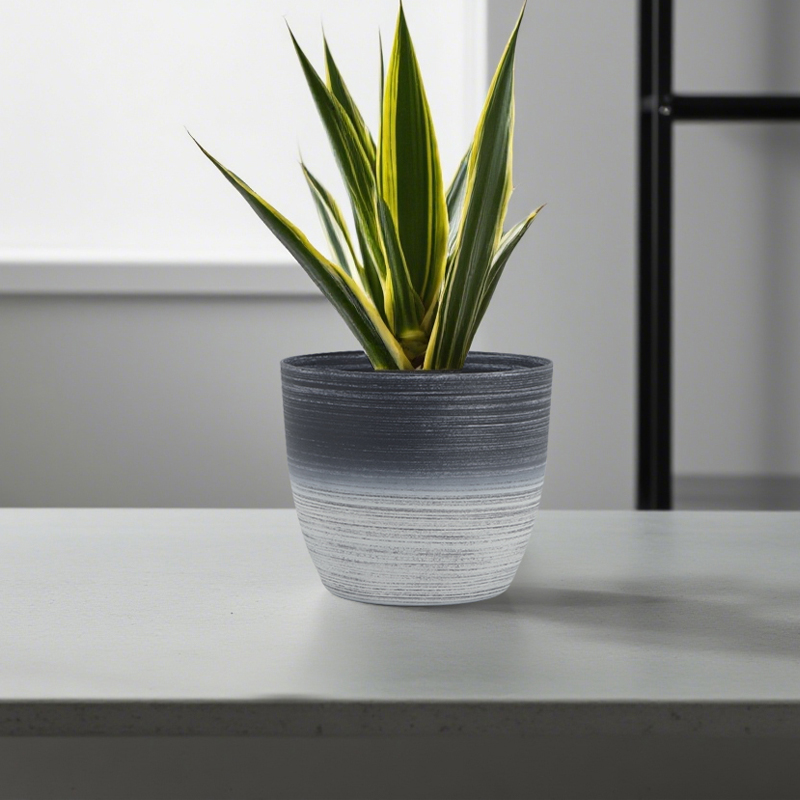 丸型サンドブラスト加工 植木鉢 2色線画デザイン